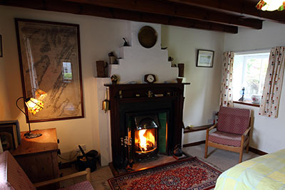 Victorian Ornamental Fire in the Bedroom